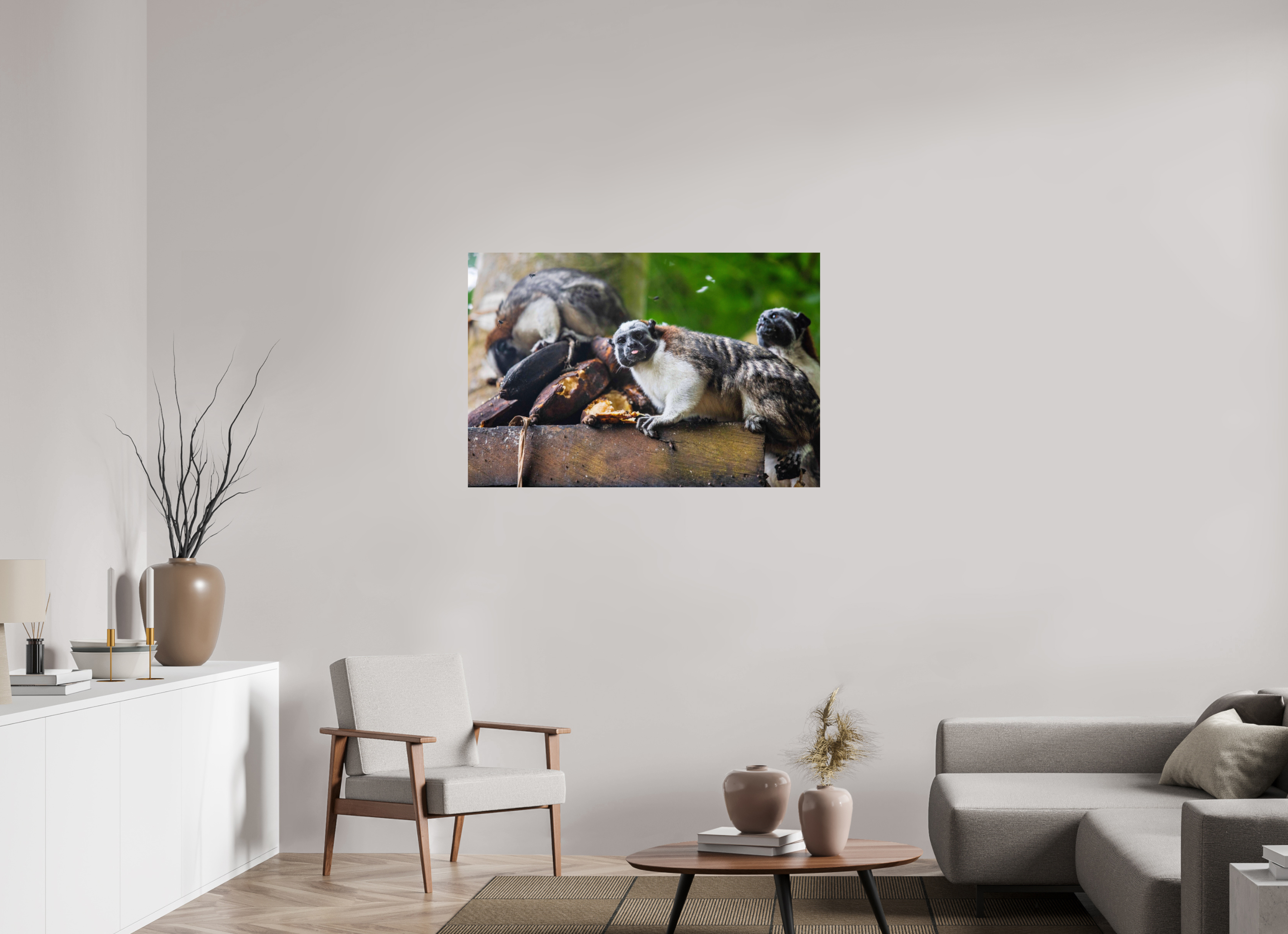 45 x 30″, Photo Print On Fuji Crystal DP II The Sentinel of Darién: White-Headed Marmoset