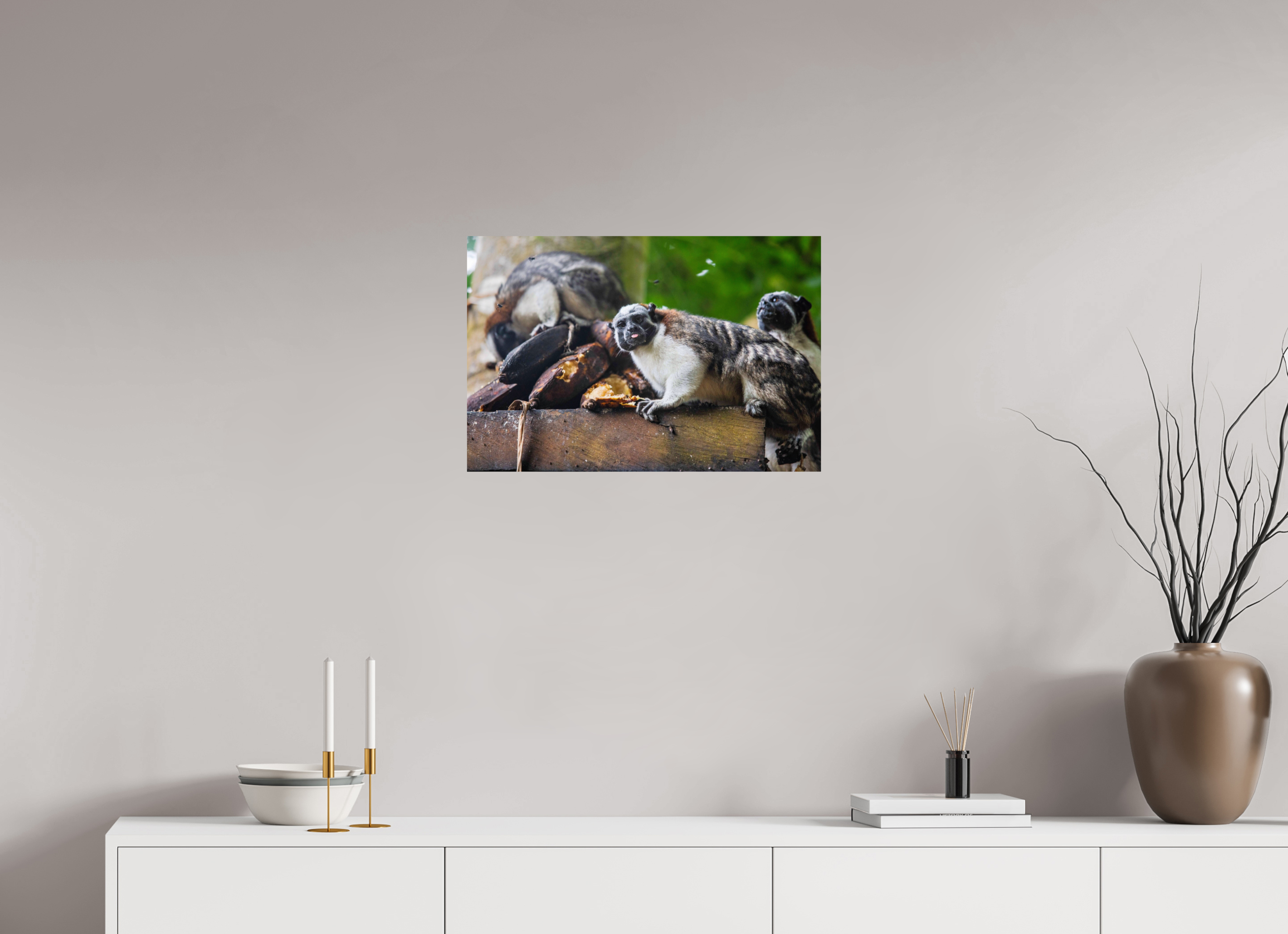 24 x 16″, Photo Print On Fuji Crystal DP II The Sentinel of Darién: White-Headed Marmoset
