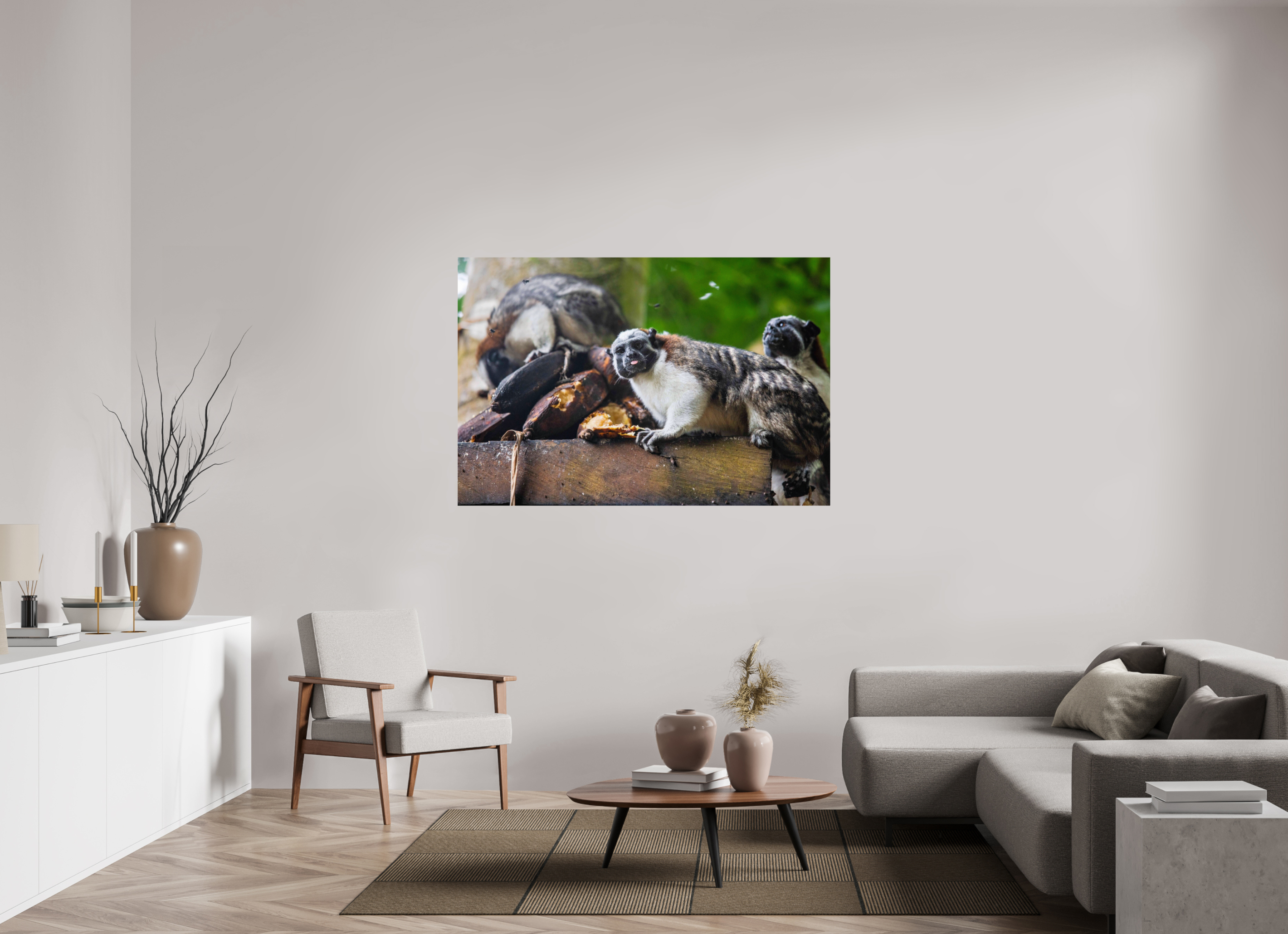 60 x 40″, Photo Print On Fuji Crystal DP II The Sentinel of Darién: White-Headed Marmoset
