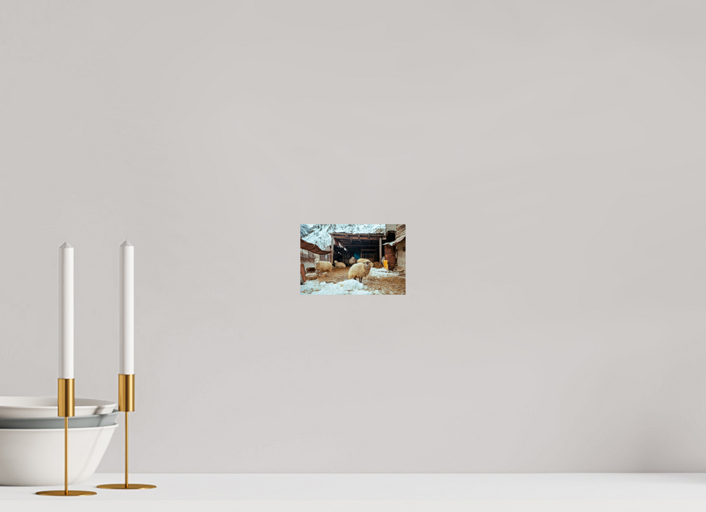 6 x 4″, Photo Print On Fuji Crystal DP II Highland Sanctuary: Shepherds of the Caucasus