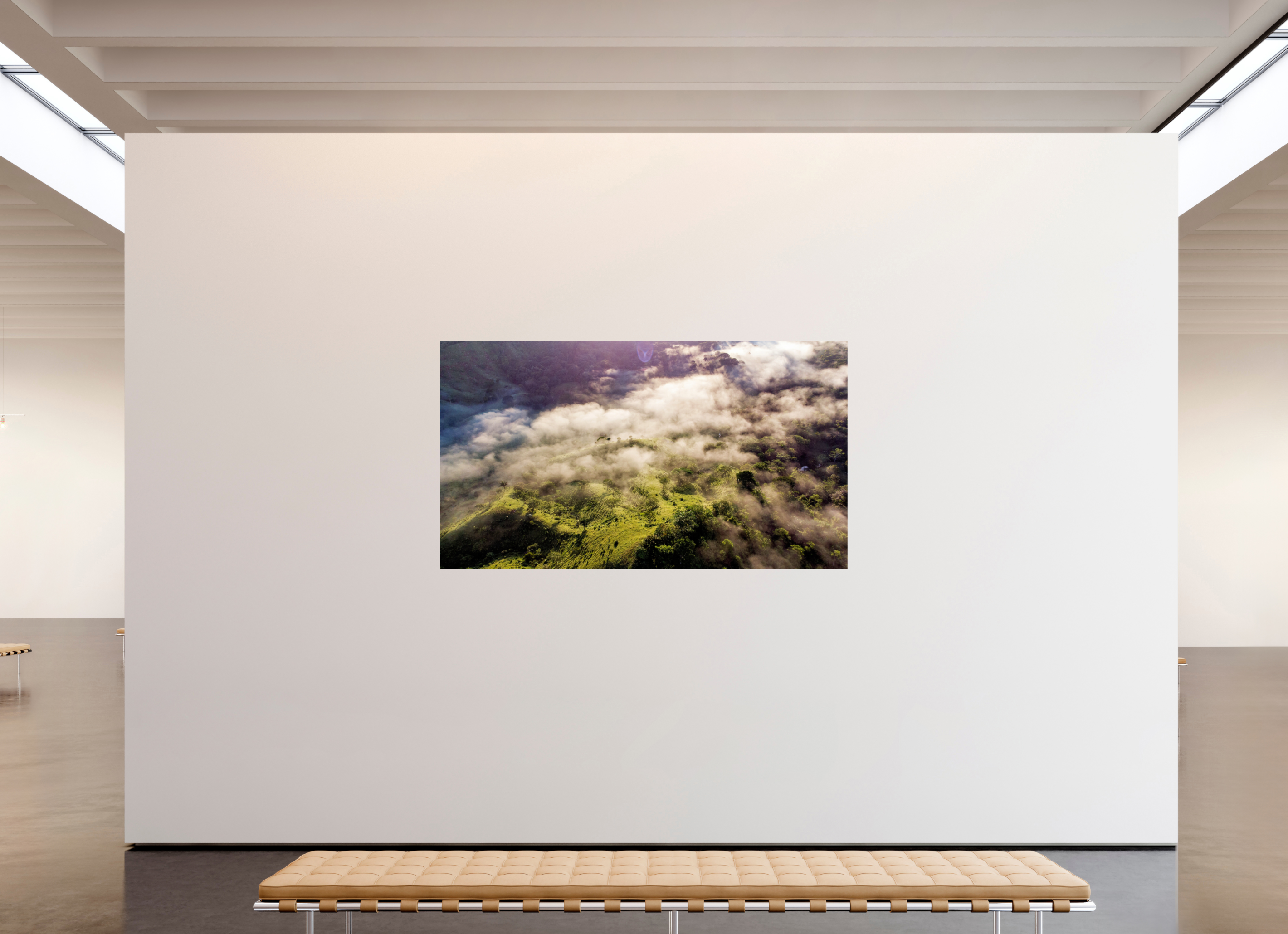 80 x 45″, Photo Print On Fuji Crystal DP II Jungle Mist: The Caribbean Highlands of Colón