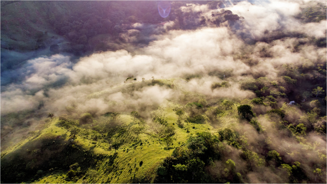 Main image Jungle Mist: The Caribbean Highlands of Colón